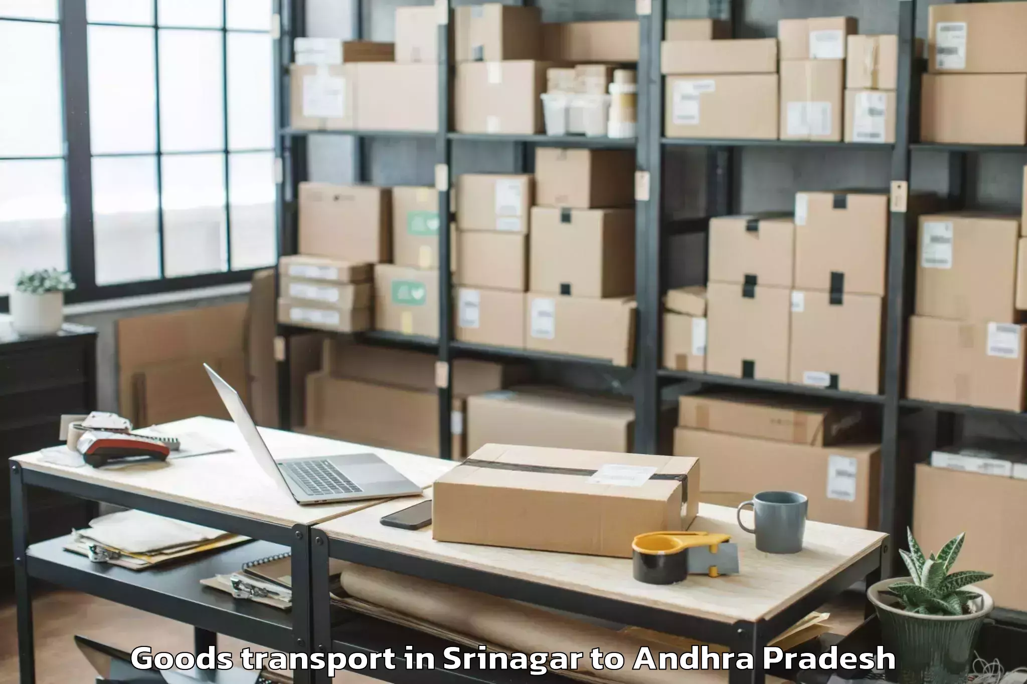 Professional Srinagar to Tenali Goods Transport